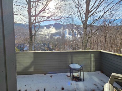 10 Potash Rd unit 3, Lincoln, NH 03251 - photo 6