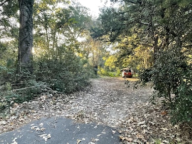 7690 Toogoodoo Rd, Hollywood, SC 29449 - photo 5