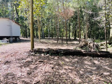 1169 Old Bumpy Rd, Capitola, FL 32317 - photo 5