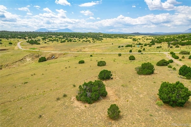 Lot 571 La Deora Blvd, Walsenburg, CO 81089 - photo 4