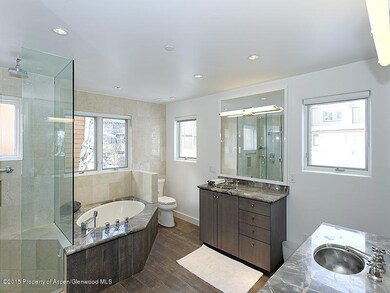 926 E Durant Ave unit 1, Aspen, CO 81611 - photo 6