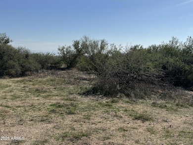 Natural Desert vegetation