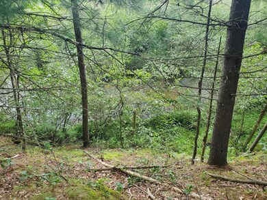 00 Parkside Ave, Yates Township, MI 49642 - photo 6