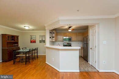 13201 Cloppers Mill Dr unit 11-F, Germantown, MD 20874 - photo 4