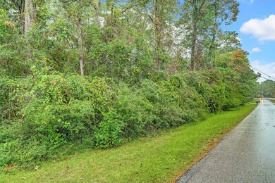 14 W Lake Forest Ct, Conroe, TX 77384 - photo 3