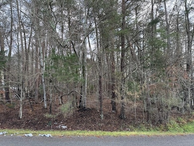 Lot 5 Highland Lake Rd, Union Hall, VA 24176 - photo 3