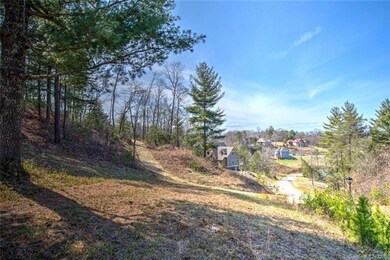 75 Magnolia Farms Dr unit 14, Asheville, NC 28806 - photo 3