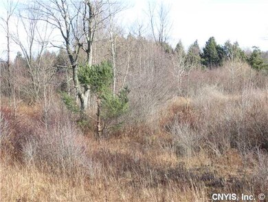 Other Looking (East) directly at property from Roa