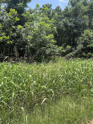 View of wooded area