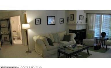 7503 Calderon Ct unit 235, Alexandria, VA 22306 - photo 6