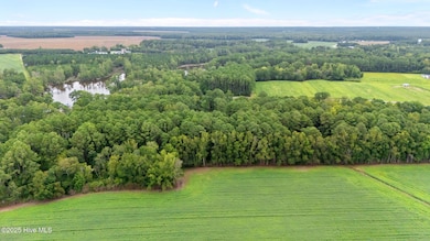 809 Sailhaven, Oriental, NC 28571 - photo 2