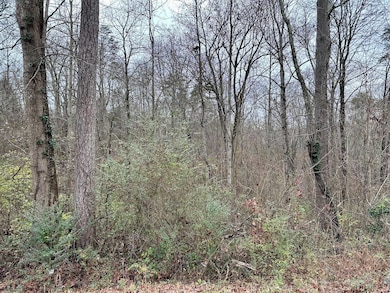 310 Brumlow Hollow Rd, Soddy-Daisy, TN 37379 - photo 5