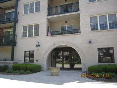 111 N Larch Ave unit 207, Elmhurst, IL 60126 - photo 2