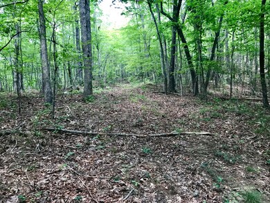 Looking toward the back of property