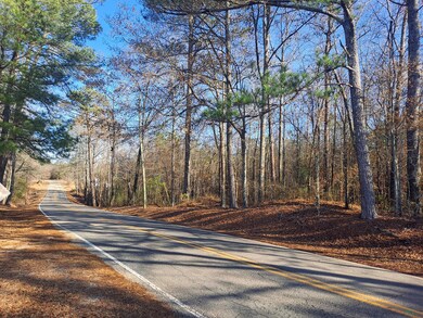DuncanRoadGround-3