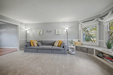 409 Fawn Dr, Oswego, IL 60543 - photo 6