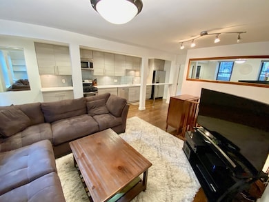 157 W Brookline St unit 1, Boston, MA 02118 - photo 4