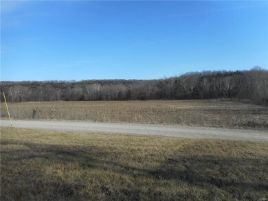 296298 Cherry Creek Ln, Farmington, MO 63640 - photo 6