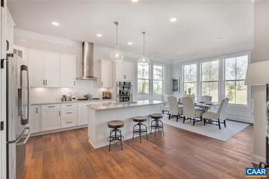 542 Drumin Rd, Shadwell, VA 22947 - photo 4