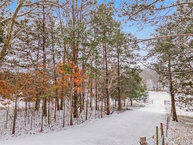 9916 Hawks Point Dr, Meramec Township, MO 63023 - photo 3