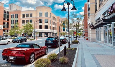 409 Kauri Cliffs Rd, Owings Mills, MD 21117 - photo 4