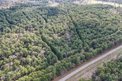 0 E Hickory Bow Ln unit 69902885, Waller, TX 77445 - photo 6