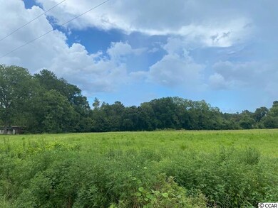 Lot 3A Antioch Rd, Conway, SC 29527 - photo 2