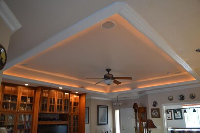 006_Tray Ceiling