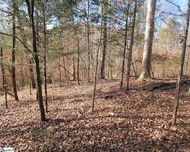 0 Boyds Mill Pond Rd unit 1514877, Laurens, SC 29360 - photo 2