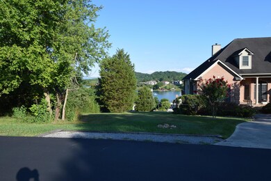 325 Gadusi Ln, Loudon, TN 37774 - photo 7
