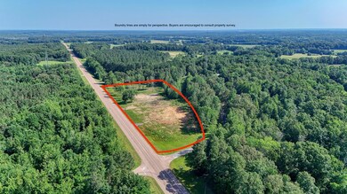 129 S Forrest Ave, Camden, TN 38320 - photo 4