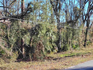 00 Pharo Morgan Rd, Perry, FL 32347 - photo 5