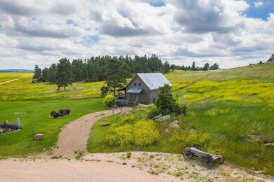 26865 Stage Stop Rd unit Pronghorn 5- Canyon, Custer, SD 57730 - photo 5