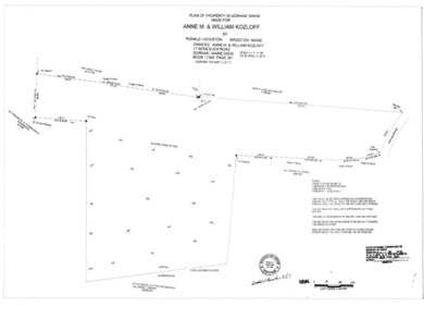 river survey