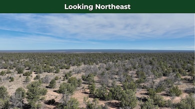 5823 N Cattle Guard Rd, Williams, AZ 86046 - photo 4