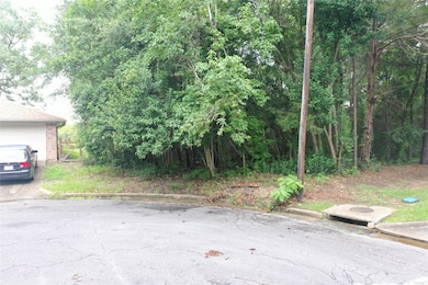 TBD Brinwood Place, Livingston, TX 77351 - photo 2