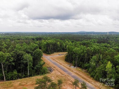 Lot 33 Great Blue Path, Clover, SC 29710 - photo 4