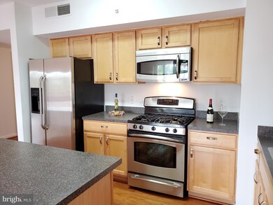 The Aurora Condominiums unit 416, Silver Spring, MD 20910 - photo 3