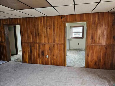 Carpeted spare room with a drop ceiling and wooden
