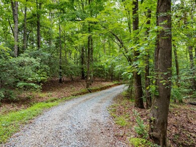 390 New Salem Church Rd, Pittsboro, NC 27312 - photo 4