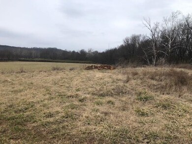 22.83 AC Hindman Dr, Prairie Grove, AR 72753 - photo 4