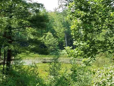 1 Browns Ridge Rd, Ossipee, NH 03864 - photo 5