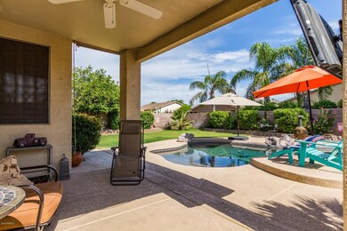 002 Backyard