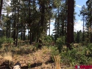 0 Calico Trail unit 702766, Durango, CO 81301 - photo 6