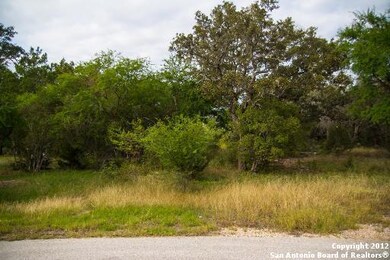 3803 Wilderness Elm, San Antonio, TX 78261 - photo 2