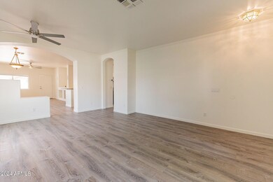 6-web-or-mls-Longhorn-6