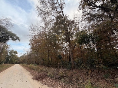 Lot 11 284th Terrace, Branford, FL 32008 - photo 6