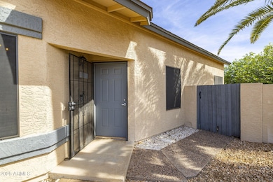 2-web-or-mls-896A2212