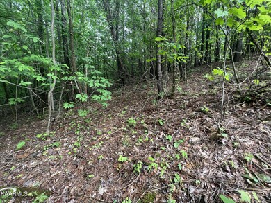 7 River Front Dr, Sparta, TN 38583 - photo 5