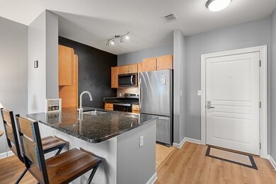 4 Repton Cir unit 4311, Watertown, MA 02472 - photo 3